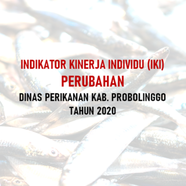 INDIKATOR KINERJA INDIVIDU (IKI) PERUBAHAN TAHUN 2020